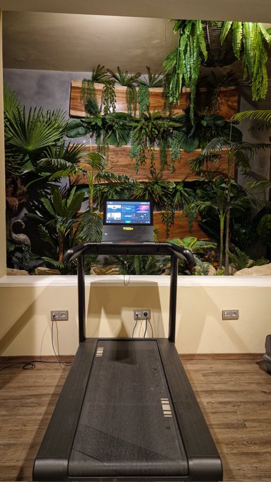 Urban jungle🌱🌾🌴 https://t.co/pTDc1Hc1ZG<a href="/tag/sundaymorning"class="tags"><span>#sundaymorning</span></a>