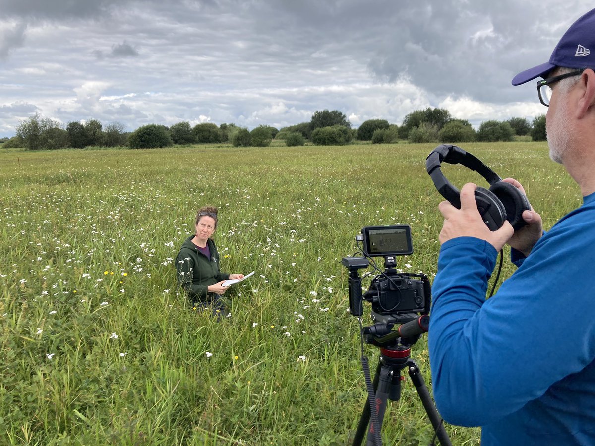 Jennifer McElwain tweet media