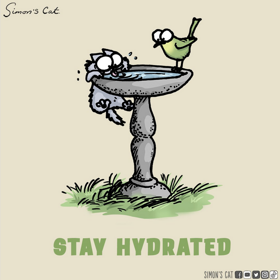 SimonsCat's tweet image. Weather check! What is like where you are?