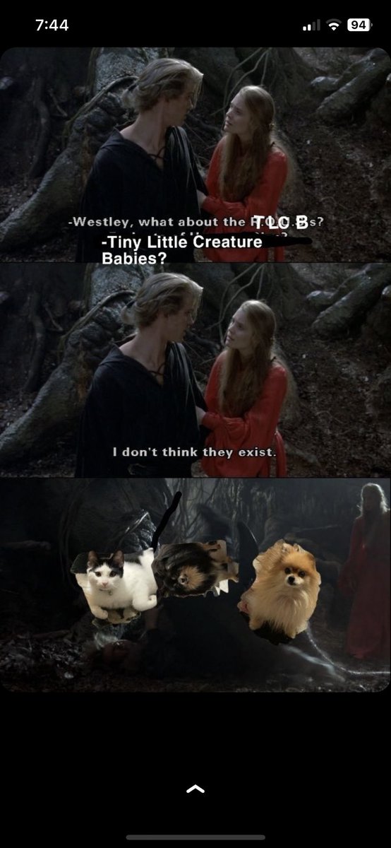 metalvixenn's tweet photo. Look at what my friend Reece did
🤣🤣👏🏼👏🏼

#soperfect #princessbride #tlcb https://t.co/Mr1Df0Say8