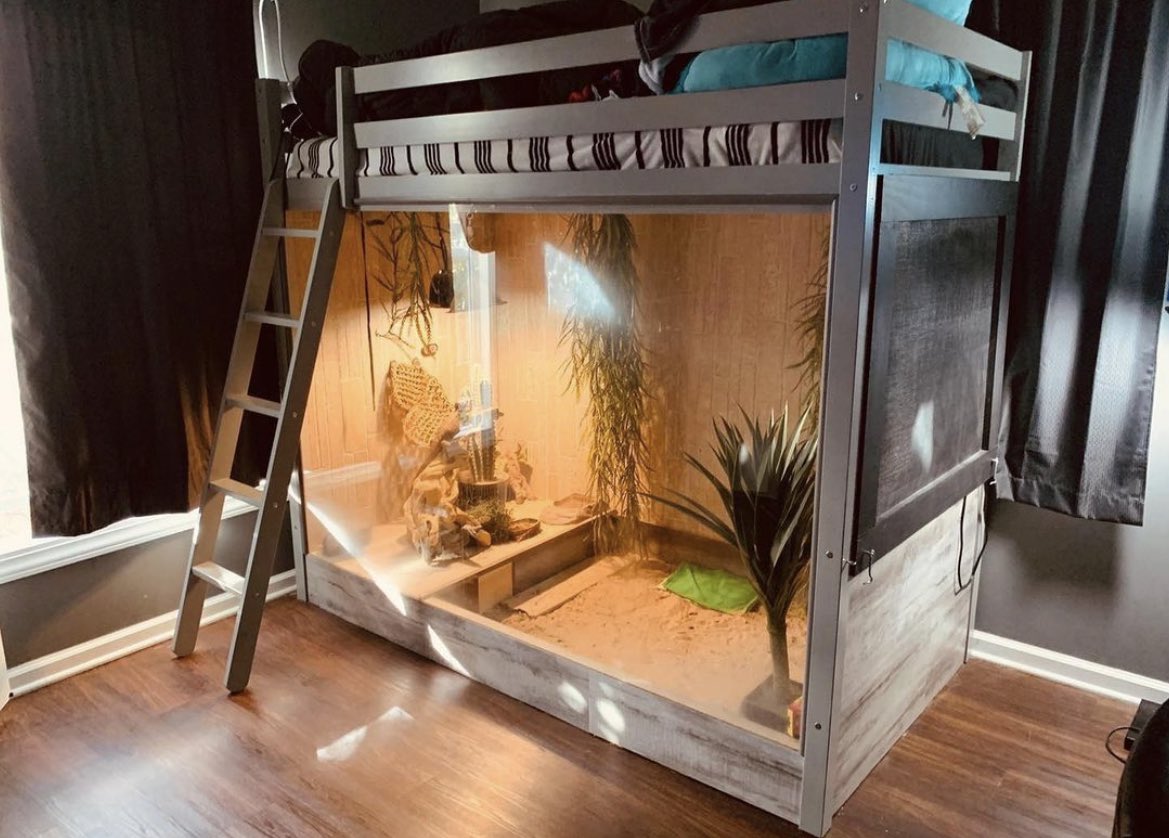 RieShuu's tweet image. ほほぅ、二段ベットタイプを設置して………