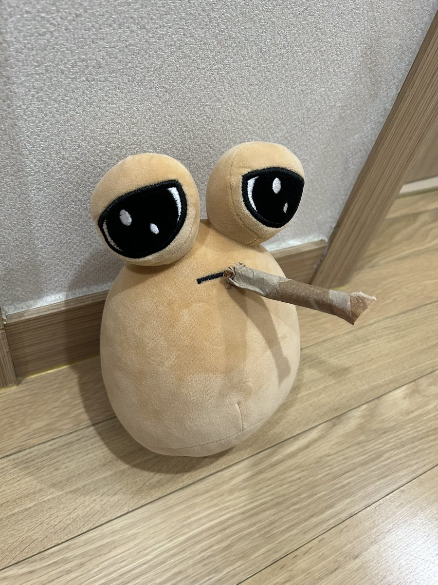 비하인드