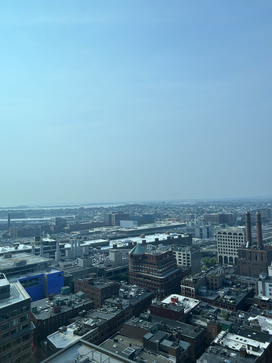 Chloe Ryan tweet media