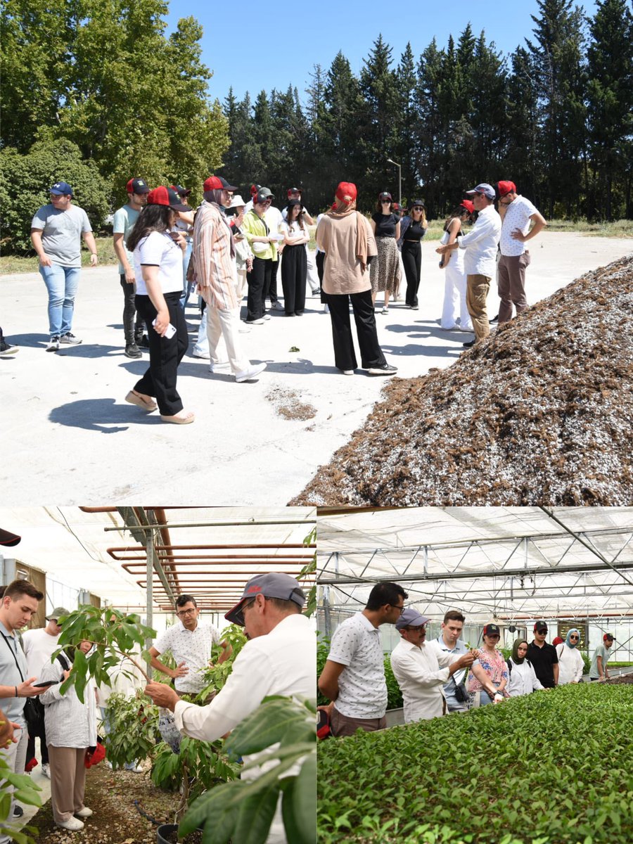 Müdürlüğümüzde staj yapan Üniversite Öğrencileri Batı Akdeniz Tarımsal Araştırma Enstitüsü Meyvecilik Bölümüne ekiplerimizce götürüldü ve kurumun çalışmaları hakkında bilgi aldılar. <a href="/ibrahimyumakli/">İbrahim Yumaklı</a> <a href="/ersinyazici1/">Ersin YAZICI</a> <a href="/gokhankaraca_/">Gökhan Karaca</a> 
#GelecekTarımda #TarımAntalyada