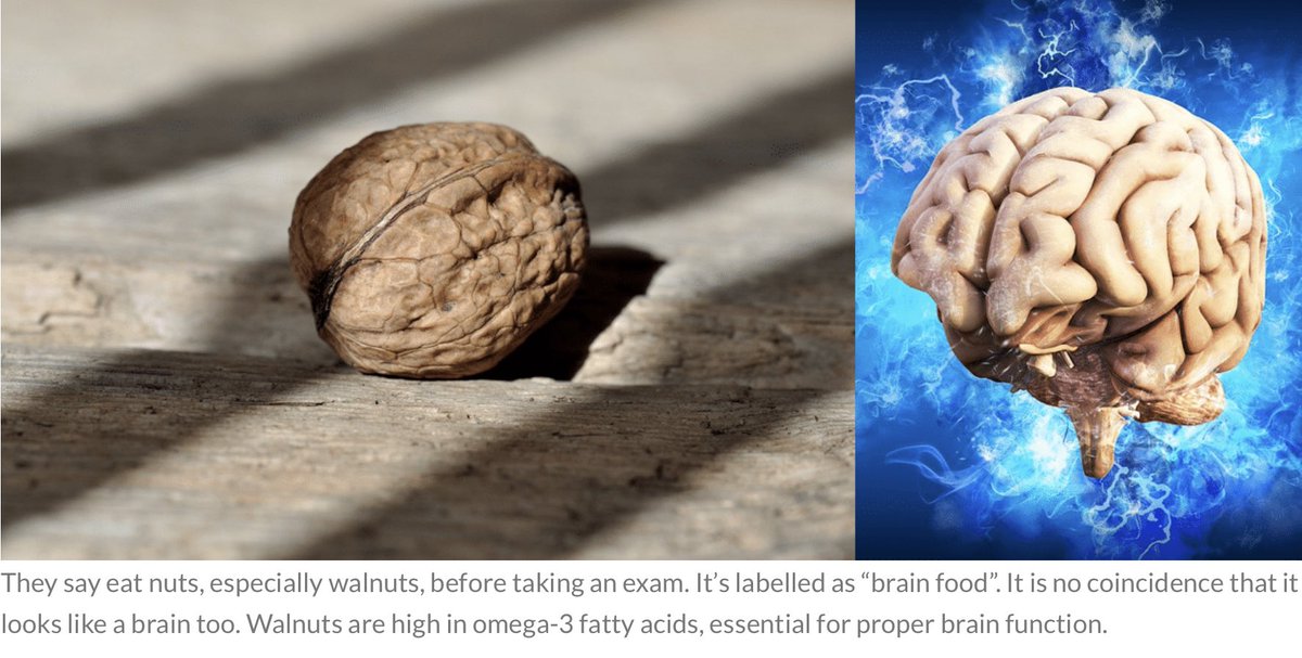 9 Pictures that show we are one with Nature

(This Will Blow your Mind)