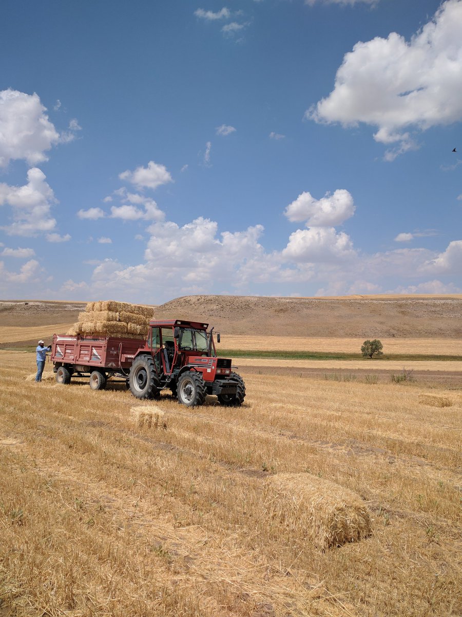 Aynen yavrum Alaçatı sarmadı Çeşme'ye geçiyoruz