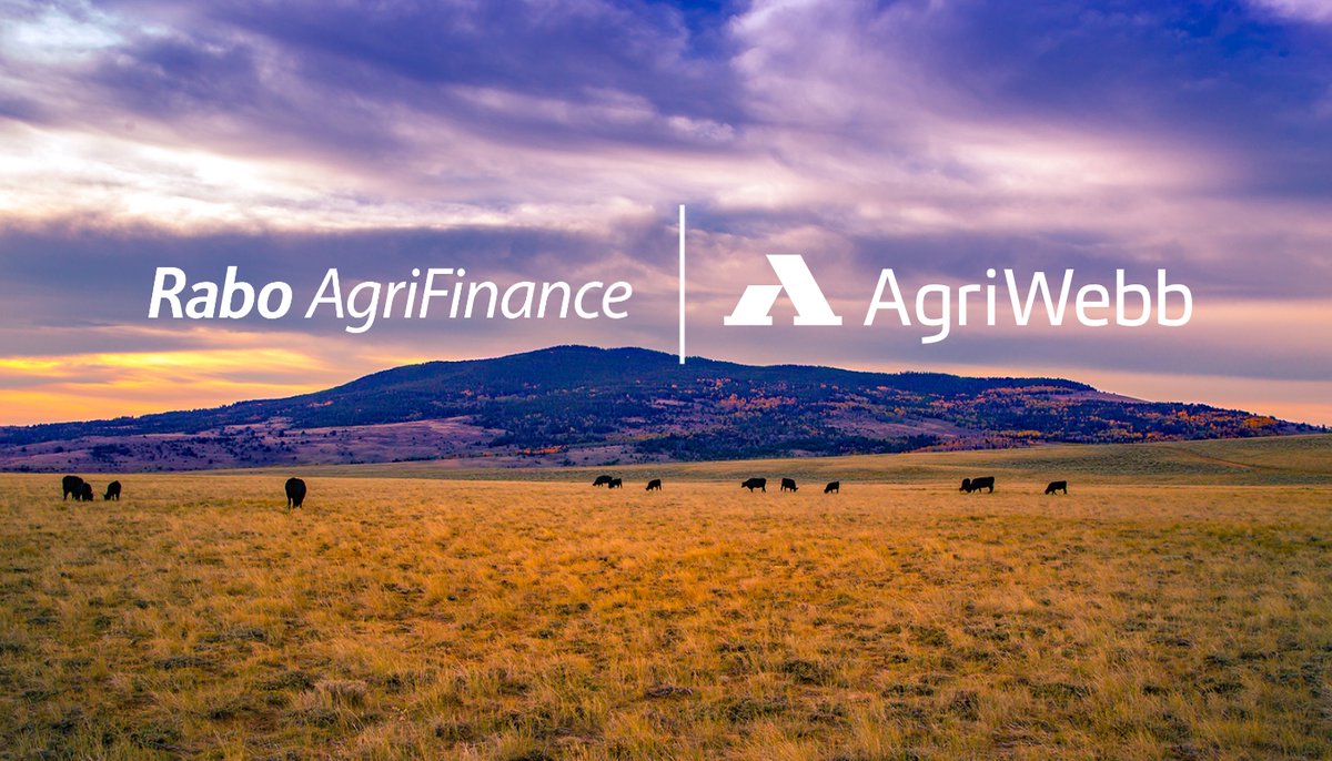AgriWebb's tweet photo. We're teaming up with @RaboAg to equip ranchers with leading livestock management software, financial services, and opportunities for collaboration. Read the full announcement: https://t.co/1vBQyda7C5 https://t.co/15W6WoJ28d
