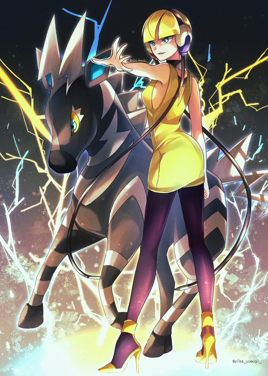 ポケモン N タペストリー バレンタイン 【公式通販】