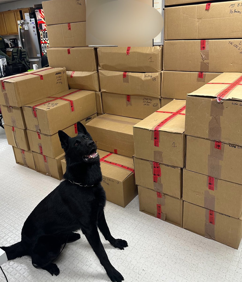 borderObserver's tweet photo. #STATUS 2023-Jul-30
Search Engine
16 HEADLINES Sat 29 Jul 2023
https://t.co/S4TzxLw0Tu
#Overload_unload This afternoon
NO #TwitterDailyDump
#Photos via @USBPChiefBBT
19 Jul
#BigBendSector
I-10 checkpoint #NII
#ESV $1.4 million
https://t.co/zyIzTqTFOj