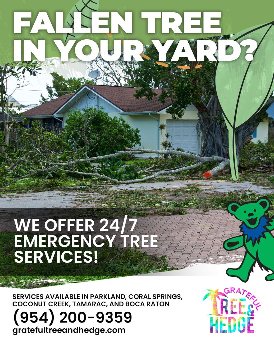 gratefultreefl's tweet image. At Grateful Tree &amp;amp; Hedge, we offer 24/7 emergency tree services. If you have a fallen tree in your yard, on your house, or your car.. give us a call &amp;amp; we will have it removed in no time!

#treeremoval #emergencytreeservice #Parkland #CoralSprings #CoconutCreek #Tamarac #BocaRaton