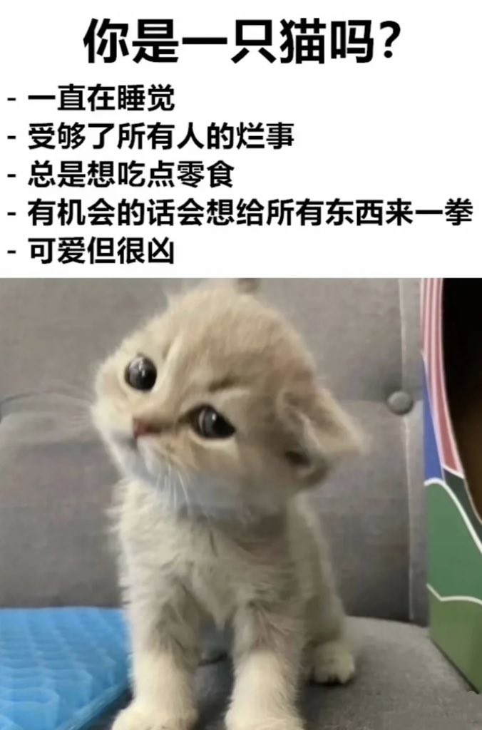 ranran_527's tweet photo. https://t.co/h7Ynq6WewT