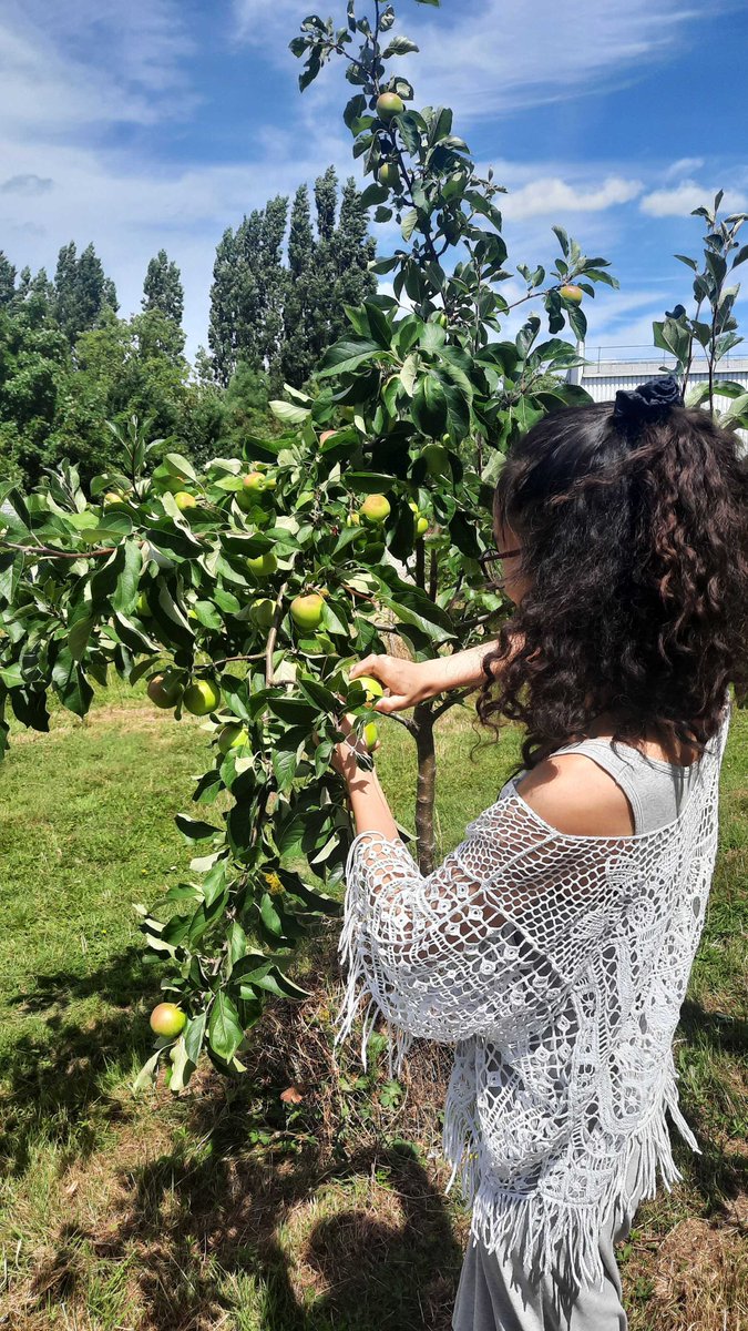 Chez transforma vous pouvez retrouver de magnifiques arbres fruitiers en vous promenant dans le jardin 🤩 N'hésitez pas à y faire un tour pour vous ressourcer entre deux réunions 😉

#nature #garden #coworking #transformabxl