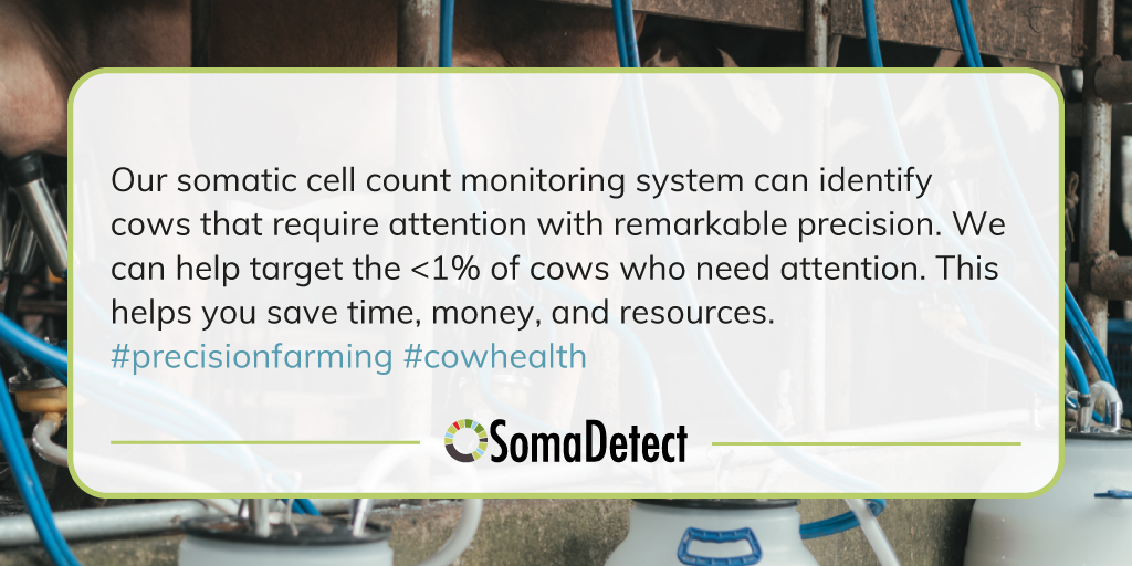 SomaDetect's tweet photo. 🔬💡 Unleash Precision in Cow Health Management! 🐄💪

With our advanced somatic cell count monitoring system, we can identify cows that require attention with remarkable precision.

#PrecisionFarming #CowHealth #SomaticCellCount #TargetedCare #Efficiency #ResourceOptimization https://t.co/F2LmU2wPMf