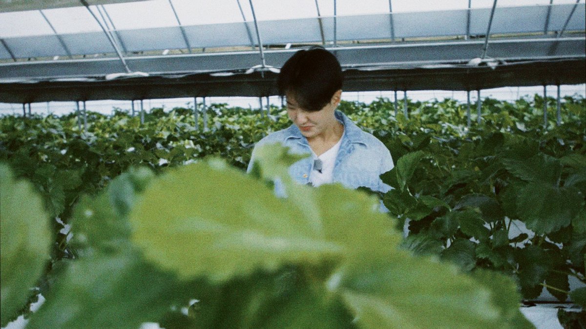 hoshbday's tweet photo. 🍓❤️ https://t.co/FwrjbIw8XW