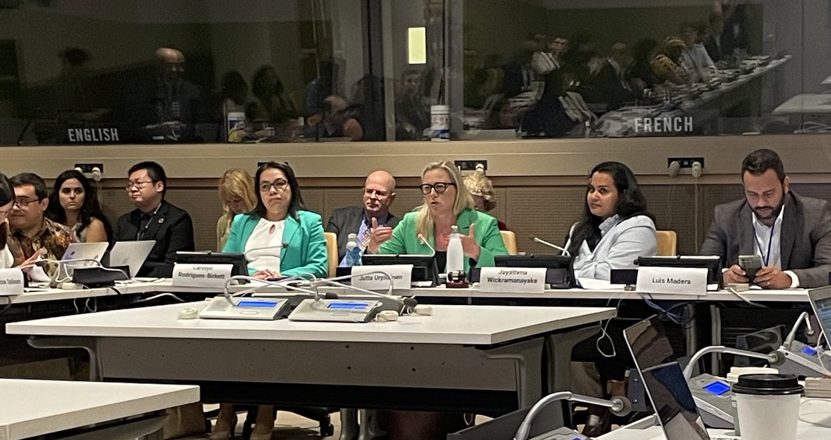 We should not only invite young people to the decision-making table, we should also meet and involve them where they are🇺🇳.

This is one of the messages from the @UNYouthEnvoy’s crucial event about renewing the commitment for the #SDGs w. a spotlight on young people

#HLPF2023