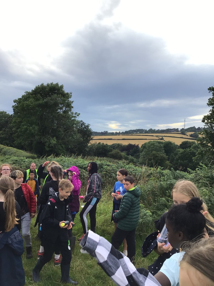 Albert Bradbeer tweet media