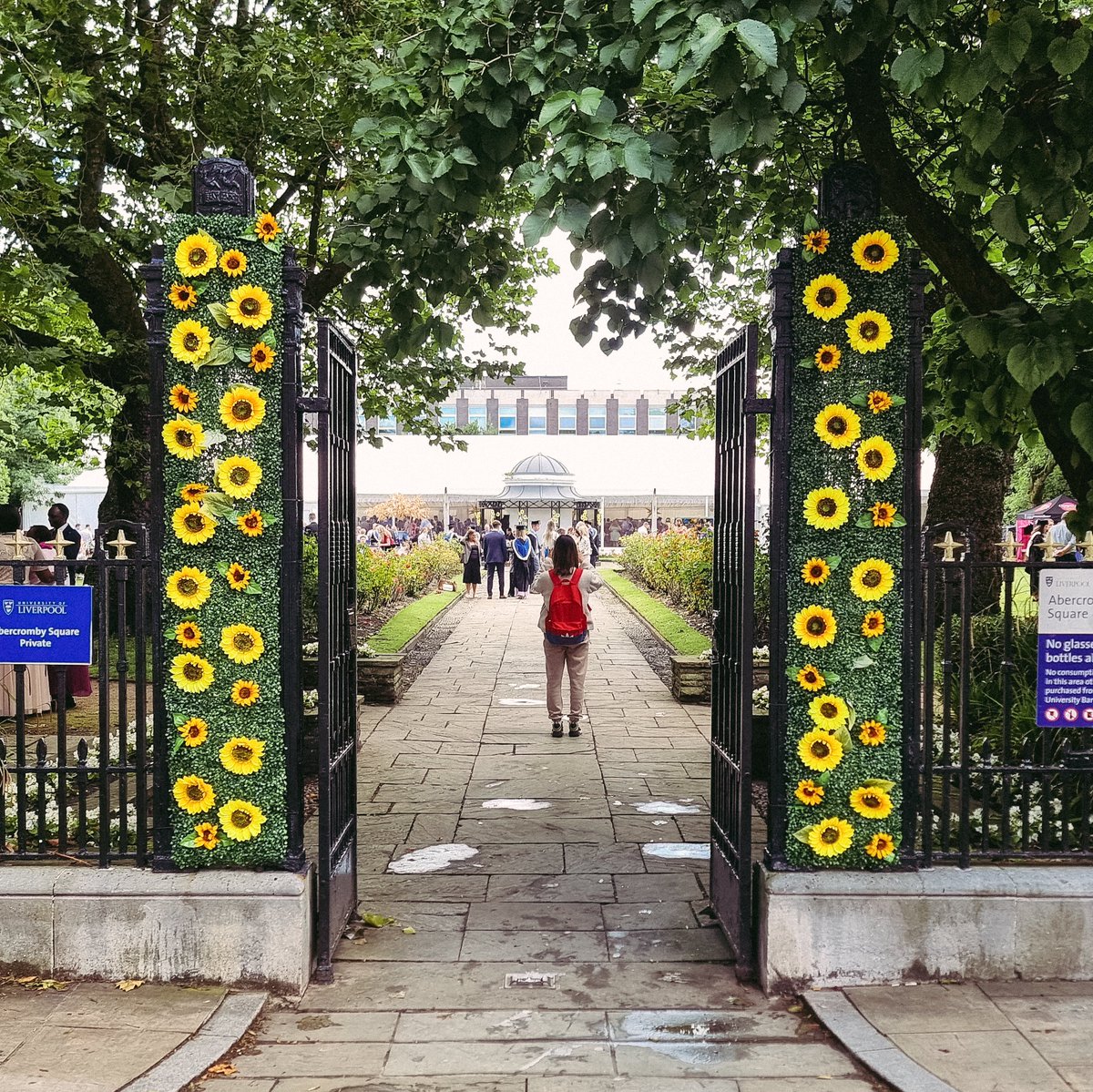 UoL School of Medicine tweet media