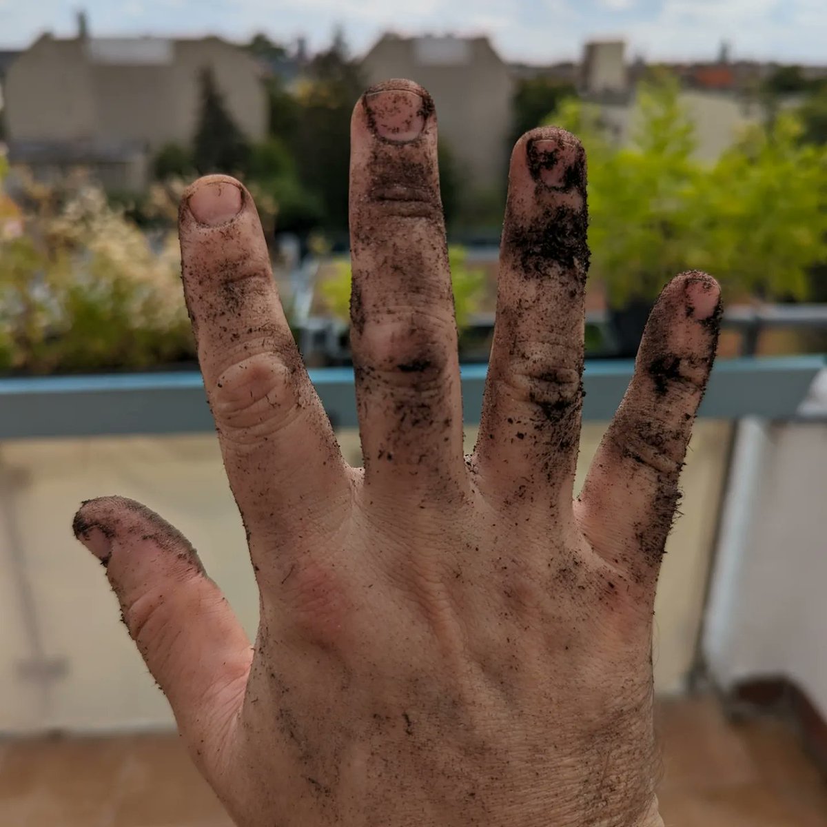DJBobbyStarrr's tweet photo. 🏡 Don't be afraid to get dirt under the nails when digging for extra growth. 

Be like a cactus, even after getting fungus overkill come back strong 🌵 https://t.co/LPVUADF9BO