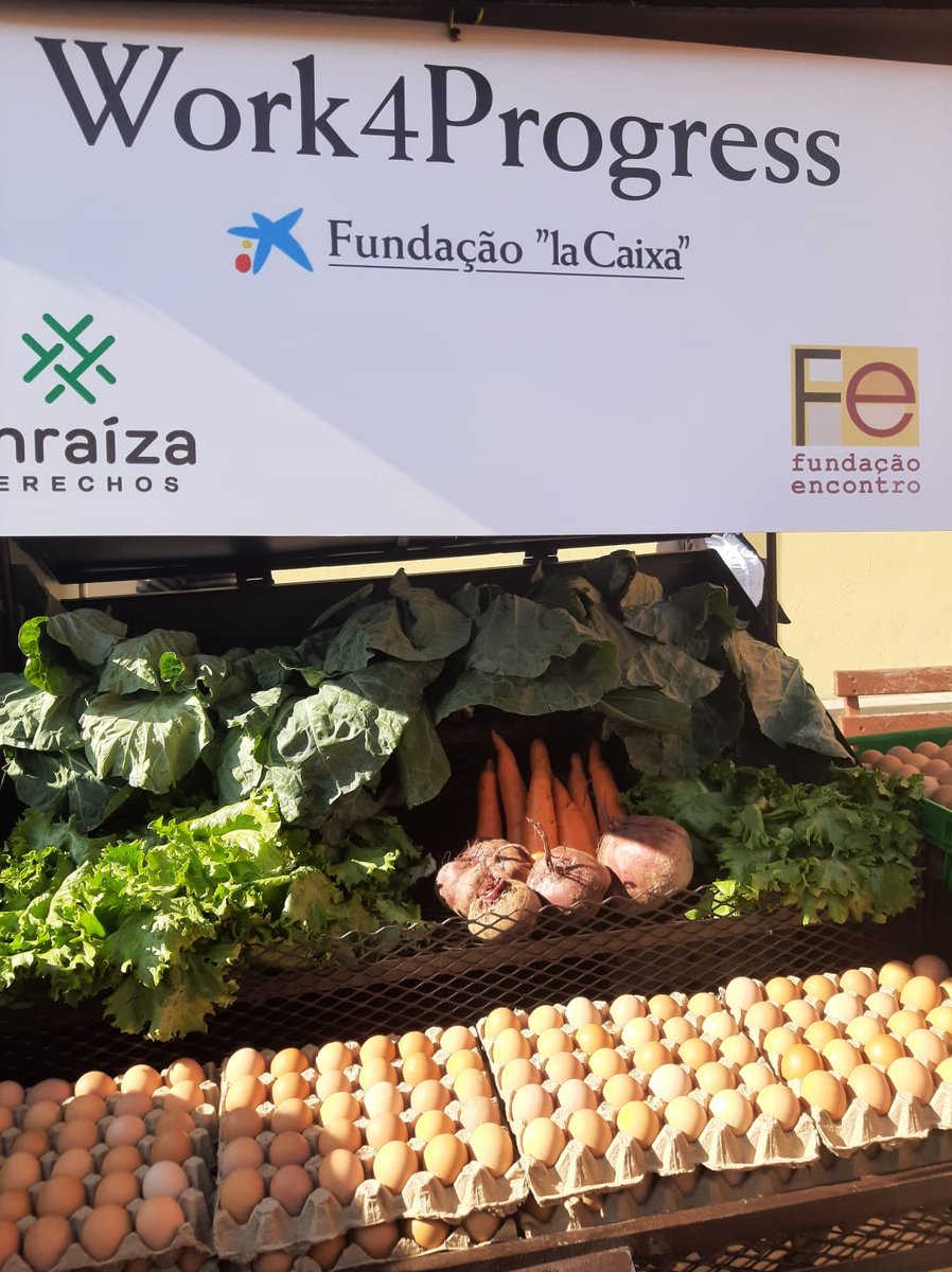 EmbEspMaputo's tweet photo. 5 anos desde a criação, Programa "Work4Progres🇲🇿" conseguiu criar mais de 450 empresas, 4500 postos de trabalho e beneficiar mais de 38500 pessoas, com colaboração ONG´s 🇪🇸@ayudaenaccion,@ONGCesal e @EnraizaDerechos unindo sinergias com sector privado e universidades.

@MAECgob https://t.co/xHazgJTUnC