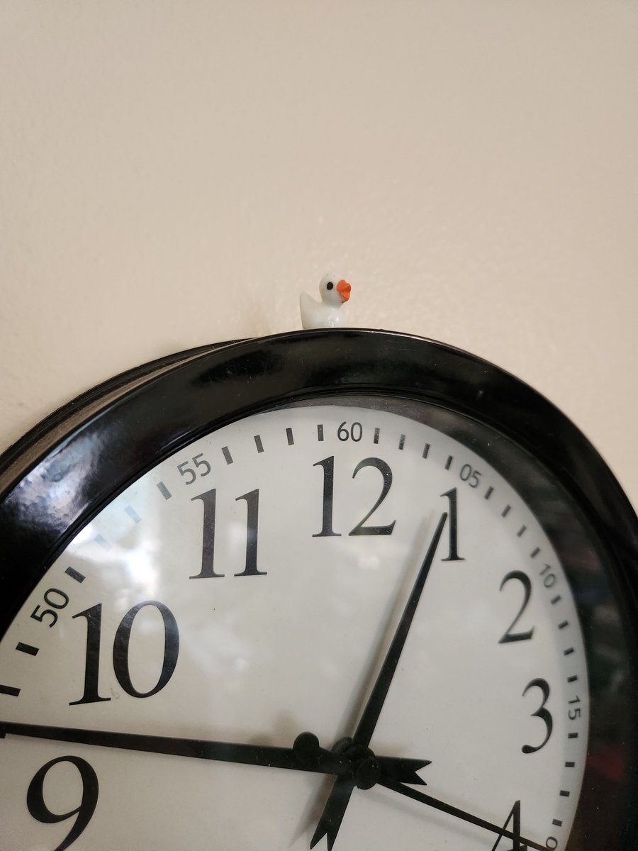 NOTLF's tweet photo. The office is where I'm finding most of #theduckening but the rest of the house hasn't been safe either. 🫠 https://t.co/dj1D6hG4w4