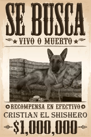 DetectiveSmithZ's tweet photo. 🚨ADVERTENCIA DE ULTIMA HORA🚨

🐶ISIDRO (EL PERRO QUE SOÑABA CON JUGAR EN EL KIRKWOOD) Y CRISTIAN EL SHISHERO LOS PERROS ESBIRROS DEL KIRKWOOD HAN ESCAPADO🐶

🚔ESTAMOS MOVILIZANDO A TODAS LAS PATRULLAS PERO NO SABEMOS DE QUE SON CAPACES, ESTAD ATENTOS🚔 https://t.co/ZGLcQNoDkO