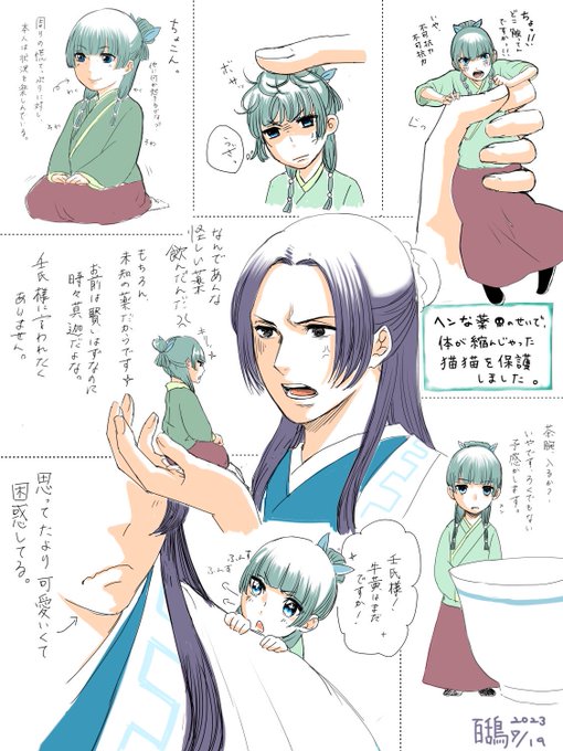 【けい】手描きイラスト~壬氏と猫猫~『触れては　いけないモノ···』 おくさきなおみ on X: 