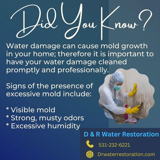 FixFloodDamage's tweet photo. Mold remediation will reduce the following risks:

1️⃣ Health Hazards  
2️⃣ Property Damage 
3️⃣ Costly Remediation 

https://t.co/4zqobJFKt6

#mold #remediation #omaha #Nebraska #Carter #Lake #Council #Bluffs #Iowa https://t.co/devQoifes9