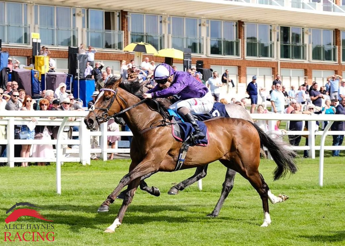 Alice Haynes tweet media