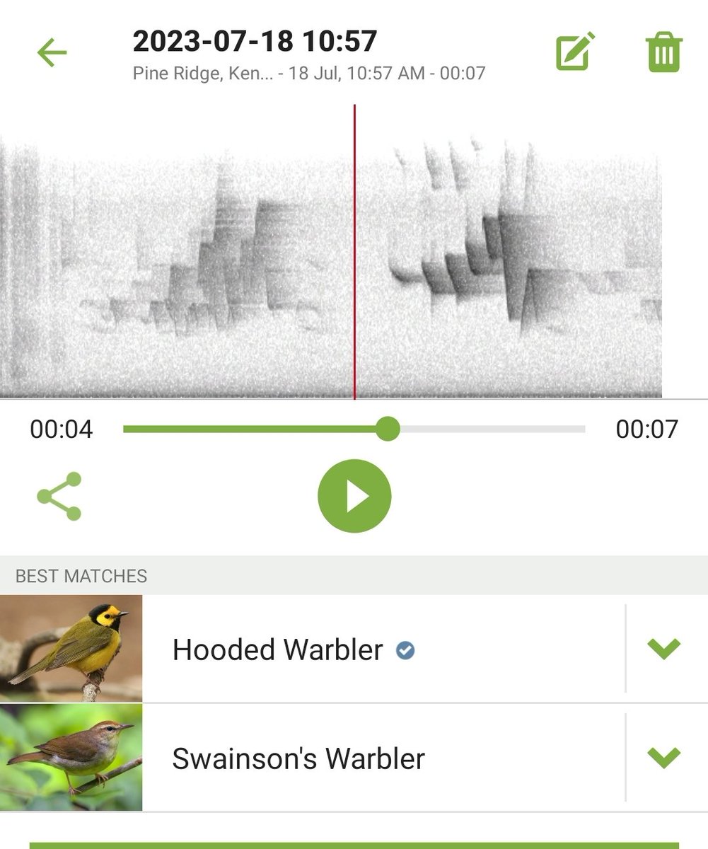 Paxson 🌿🐦🏳️🌈 tweet media