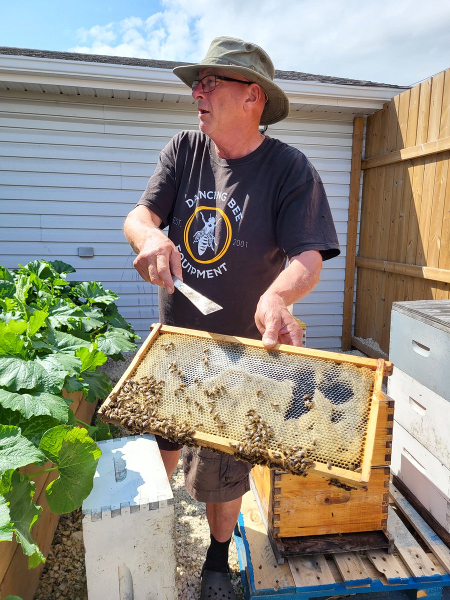 Bee-Clean tweet media