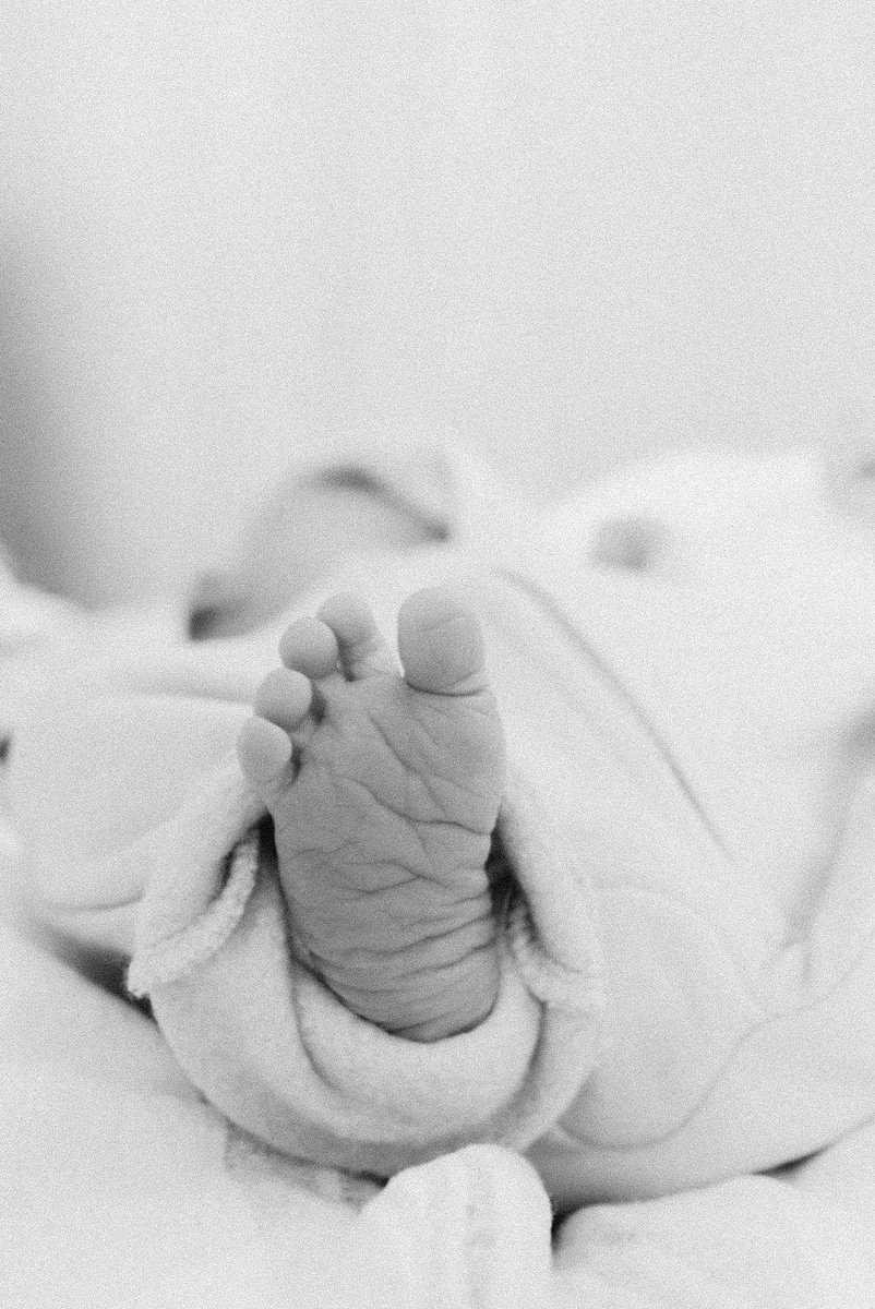 Mrs. Sanchez (Spratt) tweet media