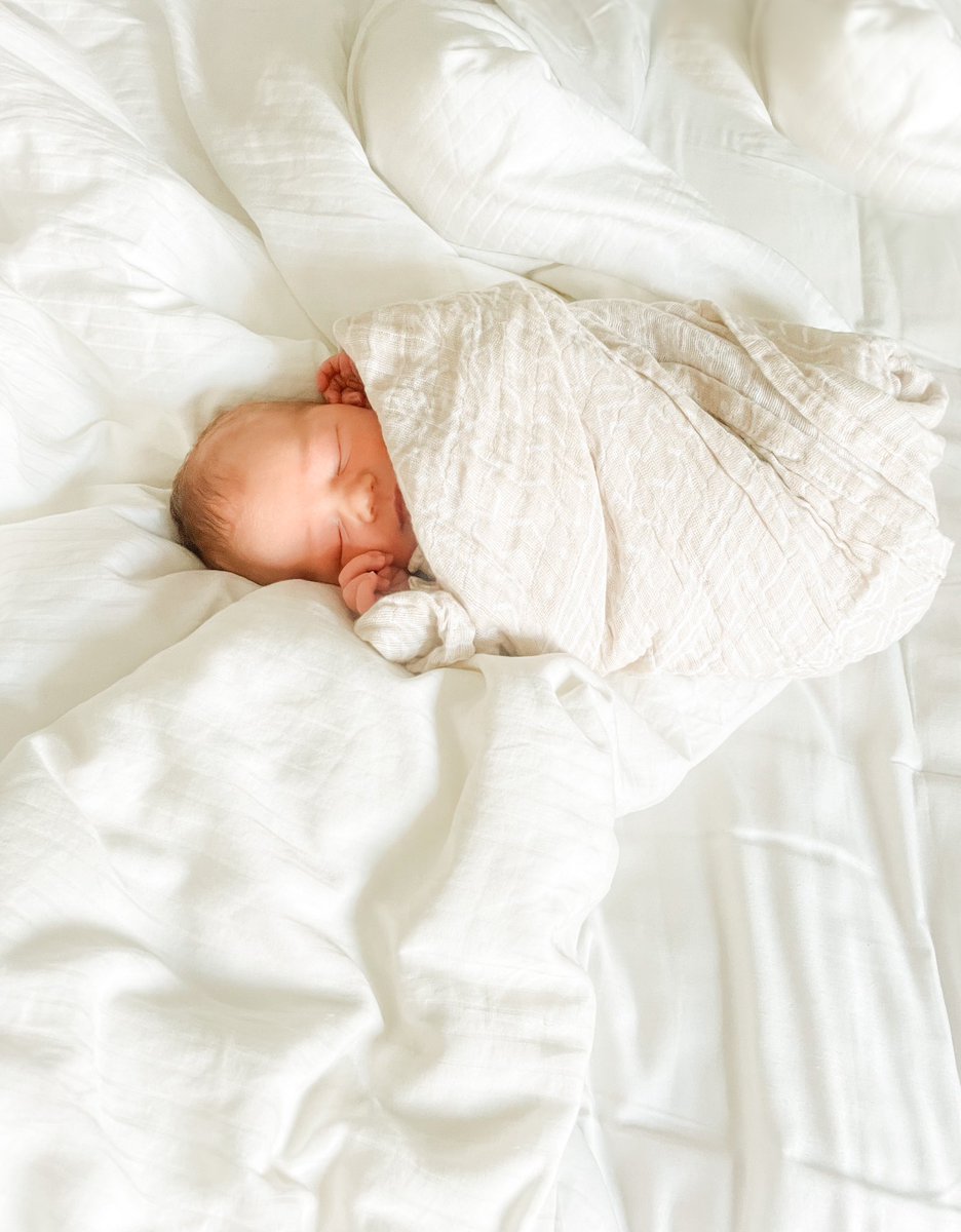 Mrs. Sanchez (Spratt) tweet media