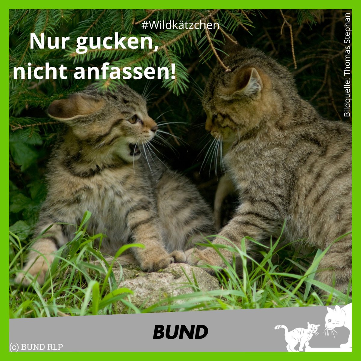 BUND Sachsen tweet media