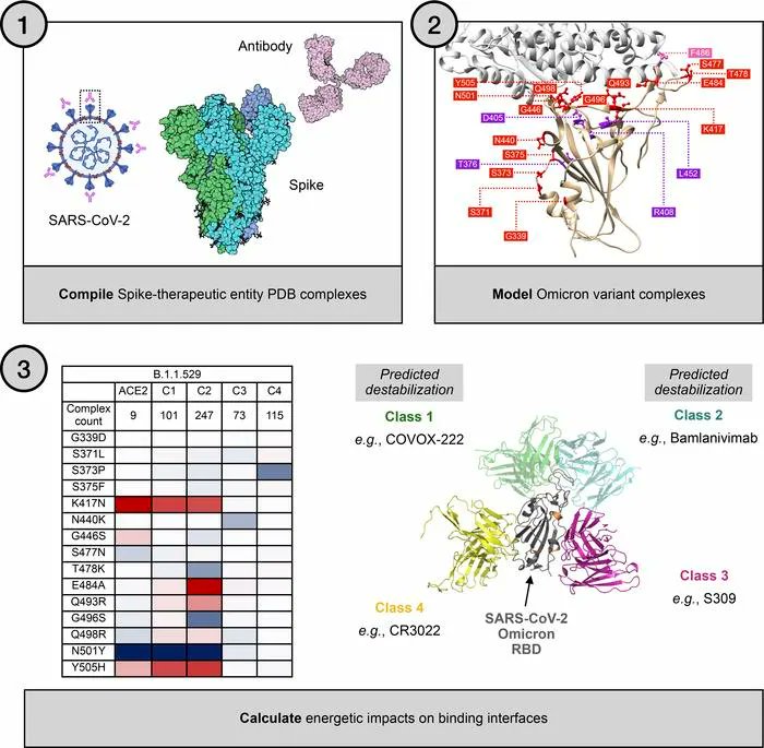 JCI_insight's tweet photo. Modeling of ACE2 and antibodies bound to SARS-CoV-2 provides insights into infectivity and immune evasion: https://t.co/HQGoqfy2i9 
@Khare_Lab @RutgersCancer 
#COVID_19 https://t.co/YNnkxX8o25