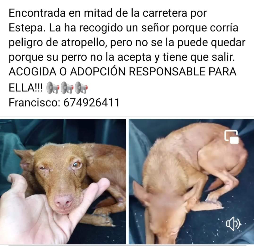 SilviaMylo's tweet photo. Qué lástima 😢 💔 https://t.co/SaRPFGKzUY