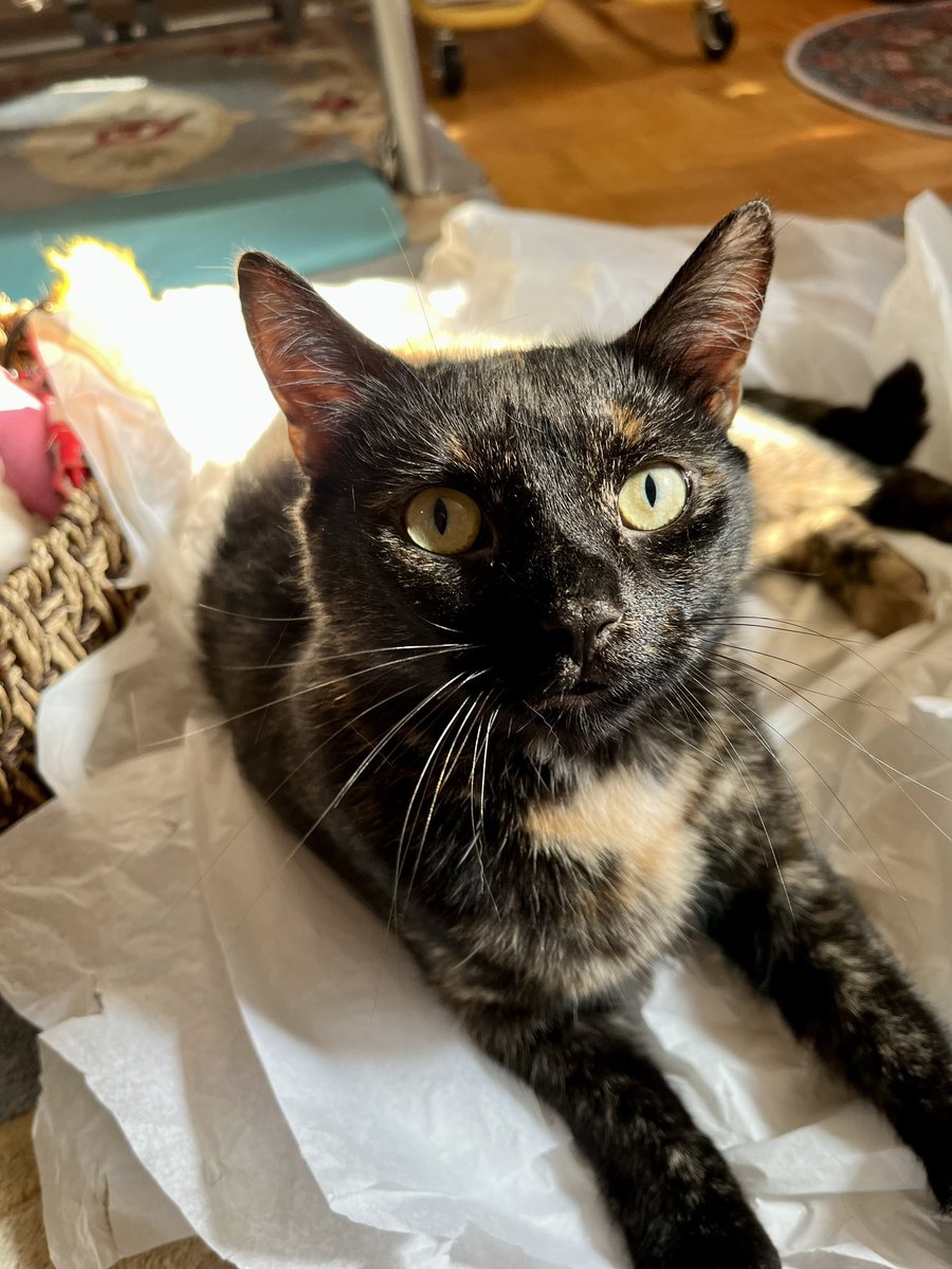 Lucy🇨🇦 tweet media