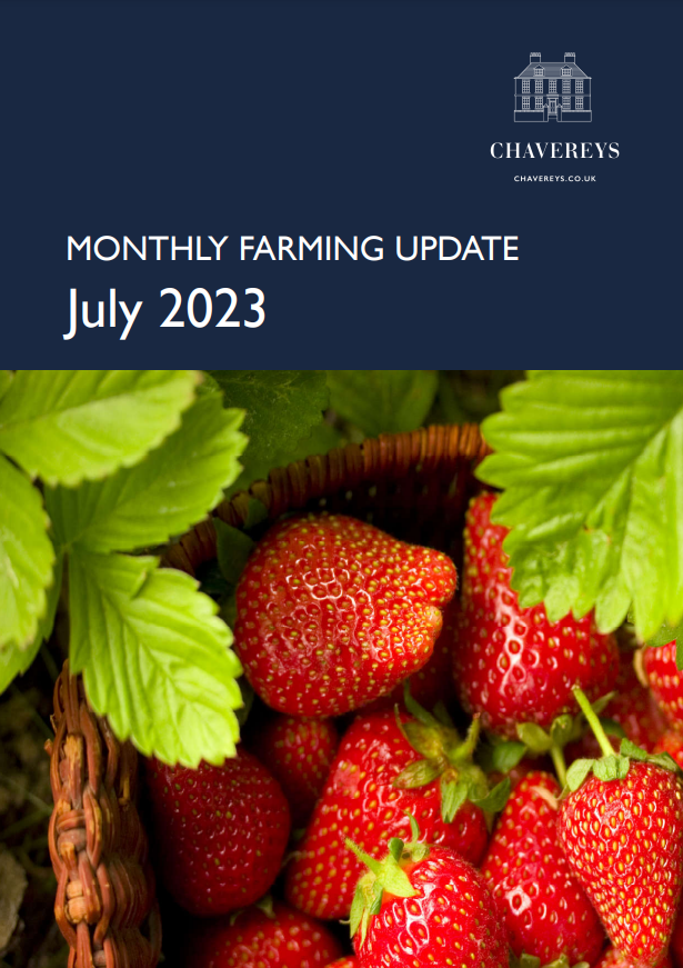 Chavereys tweet media