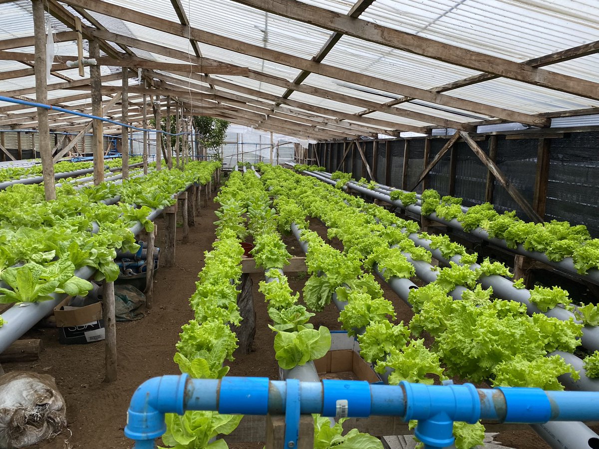 Hoy sostuvimos un excelente taller de “Calidad de agua en las buenas prácticas agrícolas” como parte del #PDT de “Disminución de brechas de inocuidad en la producción hortícola en la provincia de #Chiloé” que financia <a href="/CorfoLosLagos/">Corfo Los Lagos</a>. <a href="/MinagriLosLagos/">Minagri Los Lagos</a> <a href="/iniachile/">INIA Chile</a> <a href="/Corfo/">Corfo</a> <a href="/MinagriCL/">Ministerio de Agricultura de Chile 🇨🇱</a>
