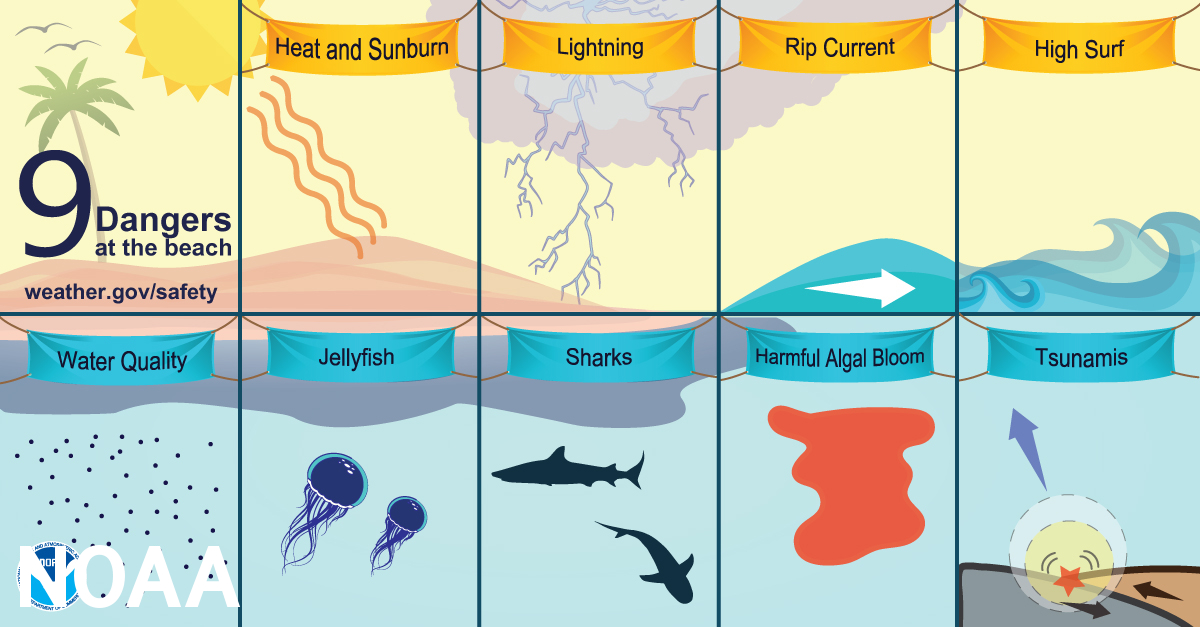 NWSHonolulu's tweet image. Don’t test the ocean waters yourself; let the professionals handle that. Lifeguards monitor hazards and will warn beachgoers of threats like local wildlife sightings (jellyfish and sharks), rip currents and tsunamis. 
weather.gov/safety