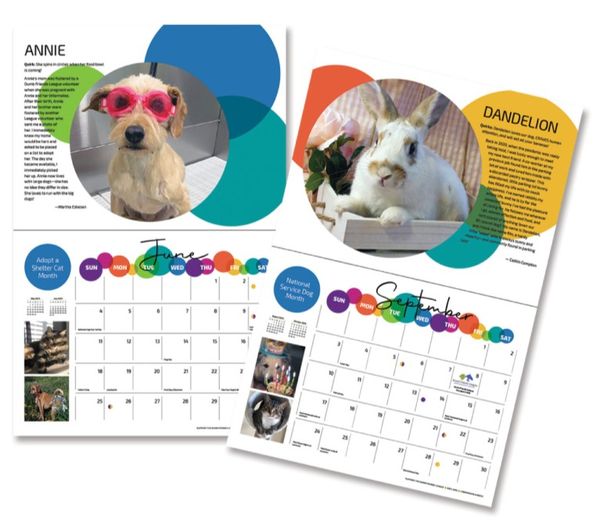 Now is your chance to show off your pet's cuteness to everyone! Submit your pet’s “pawtrait” to be featured in the 2024 Dumb Friends League Calendar by 8/9. Learn more at: ddfl.org/event/calendar…. #DumbFriendsLeague #CompassionAlways #AnimalShelter #AnimalWelfare #Adopt
