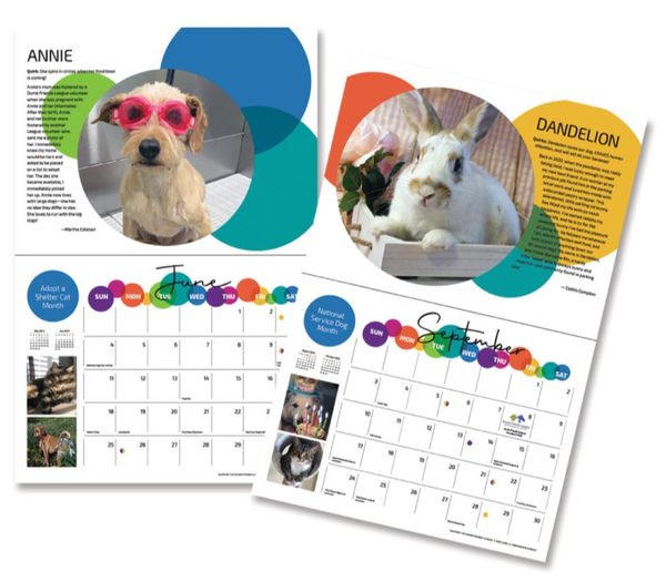 humanecolorado's tweet image. Now is your chance to show off your pet's cuteness to everyone! Submit your pet’s “pawtrait” to be featured in the 2024 Dumb Friends League Calendar by 8/9. Learn more at: ddfl.org/event/calendar…. #DumbFriendsLeague #CompassionAlways #AnimalShelter #AnimalWelfare  #Adopt