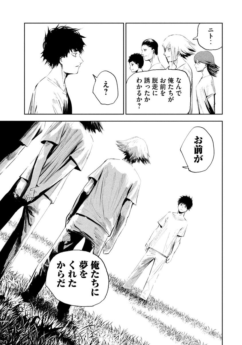 (11/15)