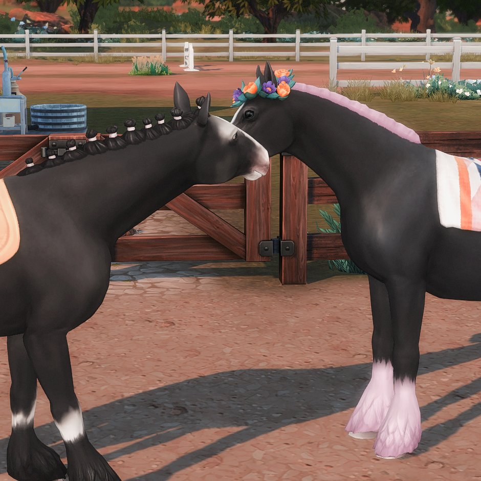 Horses Couple California &amp; Stallion💕💕
#TheSims4HorseRanch