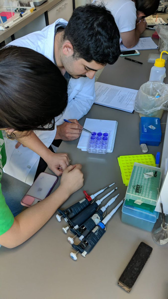 Virología Molecular (@viromol) on Twitter photo 🦠 🧬 Se viene el Curso de Virología Molecular 🦠 🧬 🔬 En breve publicaremos más información! #viromol <a href="/FcienUdelar/">Facultad de Ciencias</a> <a href="/Udelaruy/">Universidad de la República</a> 🦠 🧬 Se viene el Curso de Virología Molecular 🦠 🧬 🔬 En breve publicaremos más información! #viromol <a href="/FcienUdelar/">Facultad de Ciencias</a> <a href="/Udelaruy/">Universidad de la República</a>