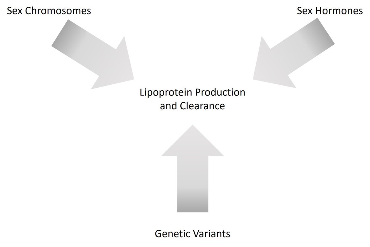 ATVB: An AHA Journal (@atvbahajournals) on Twitter photo Biological sex is a relevant factor that affects the metabolic pathways affecting plasma lipid and lipoprotein profiles and hence CVD development and outcomes <a href="/grsoffer/">Gissette Reyes-Soffer. MD FAHA</a>
ahajrnls.org/44OyomU Biological sex is a relevant factor that affects the metabolic pathways affecting plasma lipid and lipoprotein profiles and hence CVD development and outcomes <a href="/grsoffer/">Gissette Reyes-Soffer. MD FAHA</a>
ahajrnls.org/44OyomU