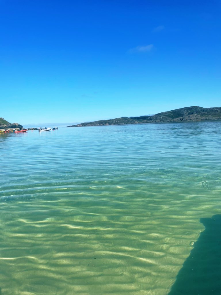 Steph Jones tweet media