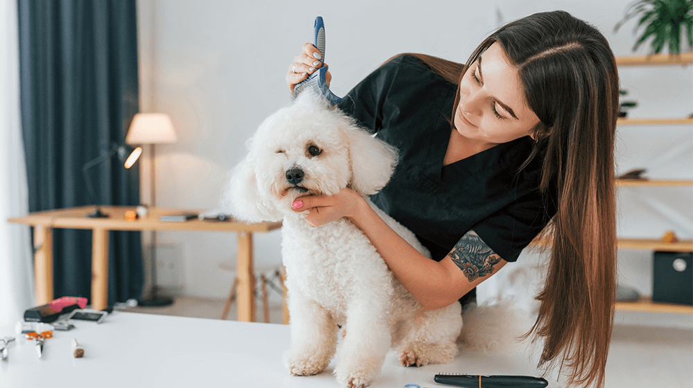 If you’re looking to start a new #business venture in your home, here are 45 of the best ideas to consider. 🏡 zurl.co/2zlA  #startups #homebasedbusiness