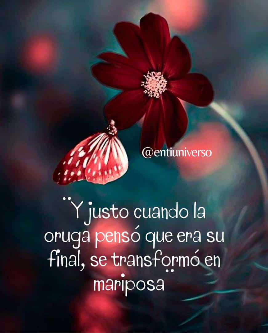 SandroBellostaMarcussi (@marcussisa19659) on Twitter photo 