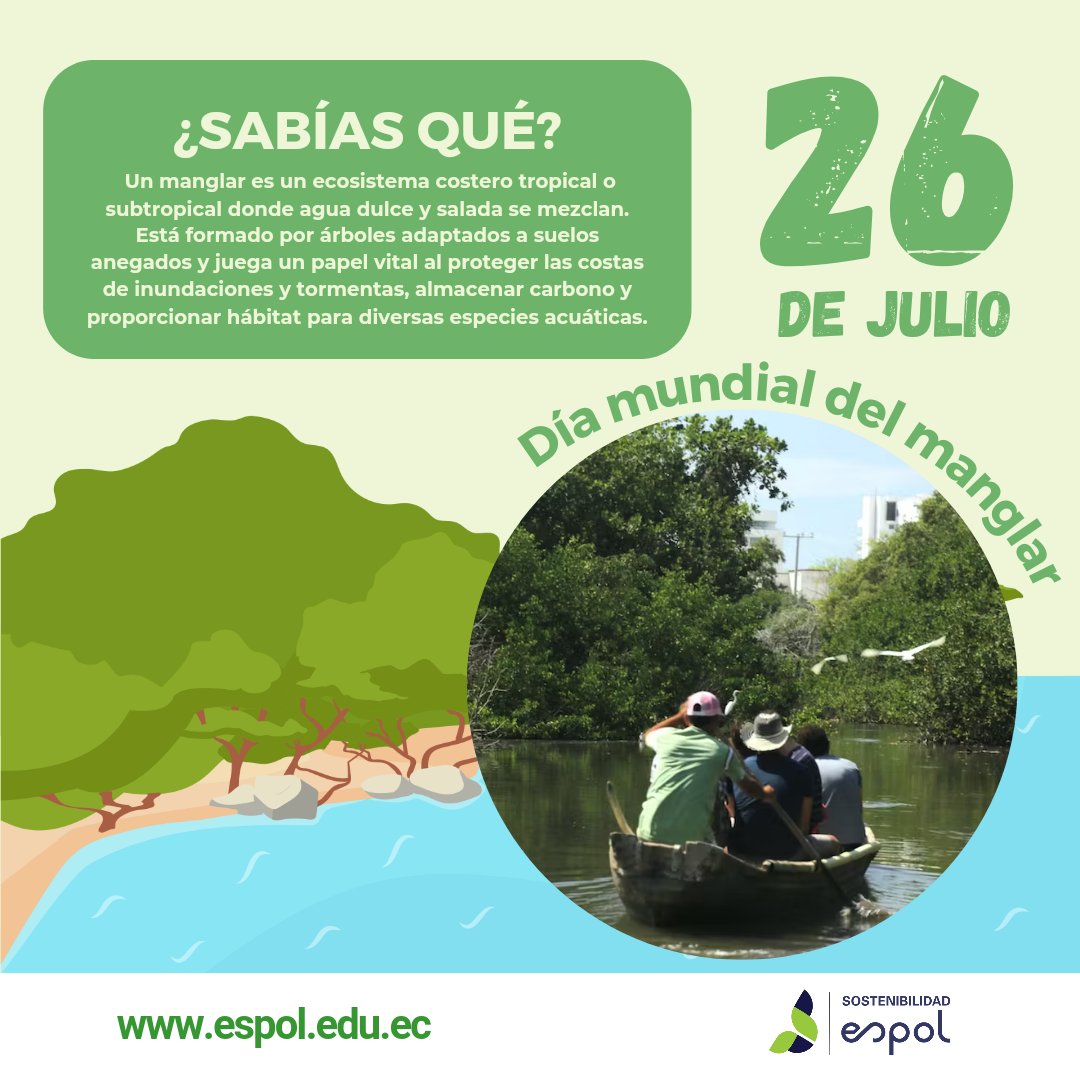 ¡Celebremos juntos el Día del Manglar! 🌱🎉 

#ESPOL #DíaDelManglar #Conservación #MedioAmbiente #Biodiversidad #CambioClimático #Ecosistemas #Sostenibilidad #JuntosPorLaNaturaleza 🌏🌿