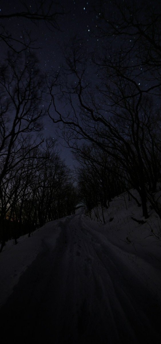 rozllvx's tweet photo. to walk here together https://t.co/M4Ct8AYUCi